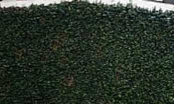 Imagem 3: Casa à venda no bairro Jardim Emília - Sorocaba/SP