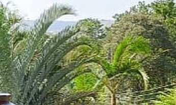 Imagem 4: Casa à venda no bairro Jardim Emília - Sorocaba/SP