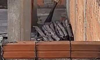 Imagem 4: Terreno 10X25 no PRESTES DE BARROS