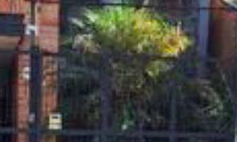 Imagem 7: Pavilhão/Galpão para alugar em Sorocaba/SP