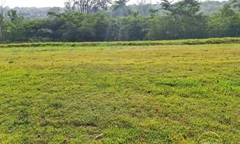 Imagem 5: Terreno no Alphaville 4