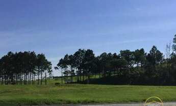 Imagem 2: Loteamento à venda no bairro Vila Artura - Sorocaba/SP