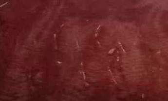 Imagem 4: Terreno em Vila Trujillo, Sorocaba/SP