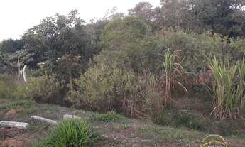 Imagem 7: Chácara à venda em Piedade/SP