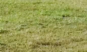 Imagem: Terreno à venda no bairro Cyrela Landscape