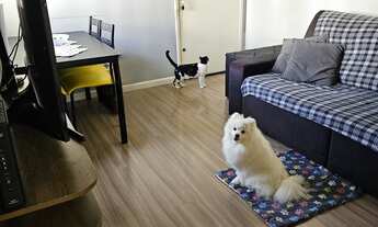 Imagem 2: Apartamento à venda no bairro Lopes de Oliveira - Sorocaba/SP