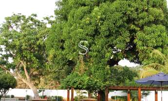 Imagem 6: Casa à venda no bairro Socopo - Teresina/PI