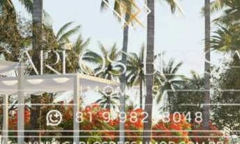 Imagem 5: Viva o sonho na Praia dos Carneiros: Seu paraíso à beira-mar!