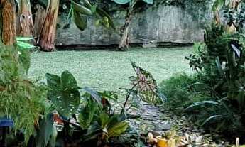 Imagem 3: Casa charmosa em rua tranquila!