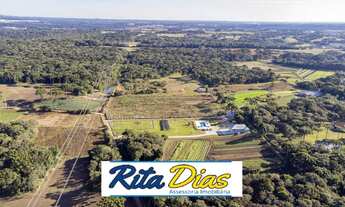 Imagem 5: Chácara em Colônia Murici, São José dos Pinhais/PR