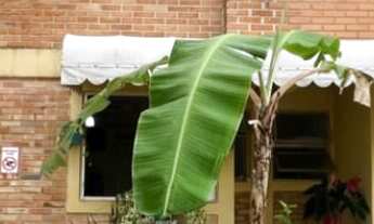 Imagem: Apartamento em Flórida, Matinhos/PR