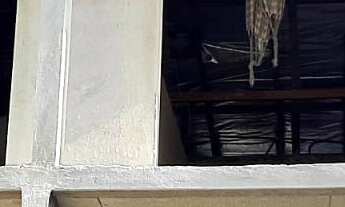 Imagem 2: Sobrado à venda em Araucária/PR