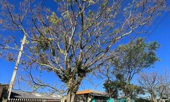 Imagem 4: Terreno à venda no bairro Xaxim - Curitiba/PR