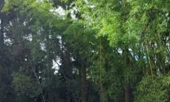 Imagem 5: Apartamento à venda no bairro Centro - Pinhais/PR