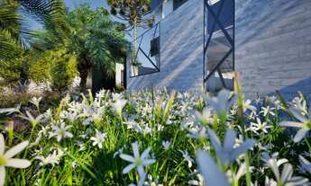 Imagem 4: Apartamento em Hauer, Curitiba/PR