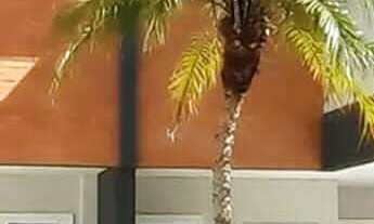 Imagem 3: Sobrado, 3 dormitórios na Rua Bley Zorning