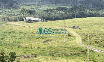 Imagem: Vendo Área Rural, com 82 hectares em região