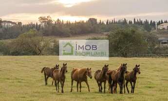 Imagem: Sítio Haras a Venda em Cesario Lange SP