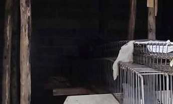 Imagem 2: Sobrado à venda no bairro Jardim DAbril - Osasco/SP