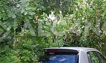 Imagem 3: Casa - 2 Quartos - 1 Suíte - Centro, Conde/PB