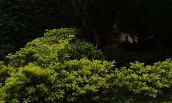 Imagem 6: Casa para alugar no bairro Macedo - Guarulhos/SP