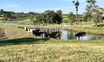 Imagem: Fazenda completa e produzindo