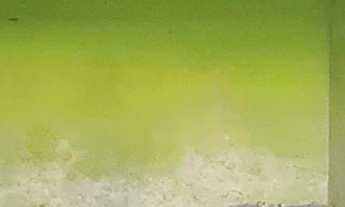 Imagem 7: Casa Linear em Centro, Niterói/RJ