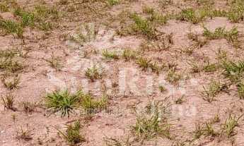 Imagem: Terreno á venda em Condomínio com 375m²