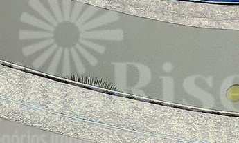 Imagem 5: Casa à Venda Gênesis 2 | 704 m² AC - 607 m² Terreno - 5 suítes