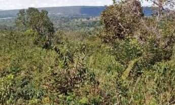 Imagem 5: Sítio á venda na chapada dos Guimarães, Região de água Fria