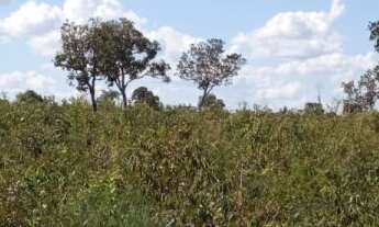 Imagem 4: Sítio á venda na chapada dos Guimarães, Região de água Fria