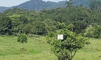 Imagem 3: Sítio à venda no bairro Cedro Margem Esquerda - Timbó/SC