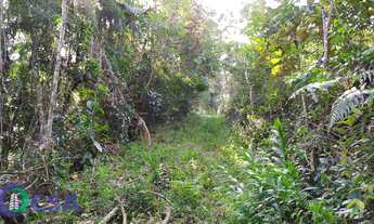 Imagem 5: Sítio à venda no bairro Cedro Margem Esquerda - Timbó/SC