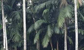 Imagem: Terreno duplo