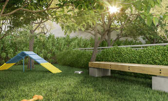 Imagem 6: Nex One Sena Madureira