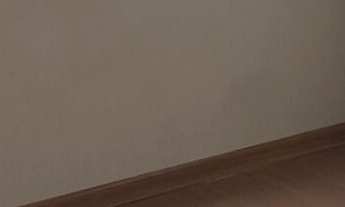 Imagem 4: 2 Dorm. e varanda - NOVA CINTRA - SANTOS