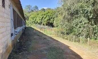 Imagem 4: Sítio em Itatiba