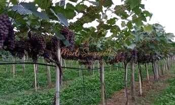 Imagem 3: Sítio em Itatiba