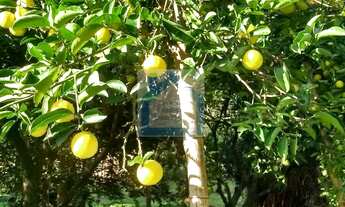 Imagem 2: Chácara à venda no bairro São José - Sapucaia do Sul/RS