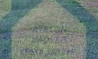 Imagem 3: Terreno à venda no bairro Cidade Nova - Ivoti/RS