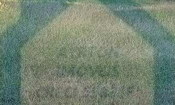 Imagem: Terreno à venda no bairro Cidade Nova