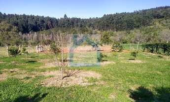 Imagem 3: Chácara à venda no bairro Areião - São Sebastião do Caí/RS