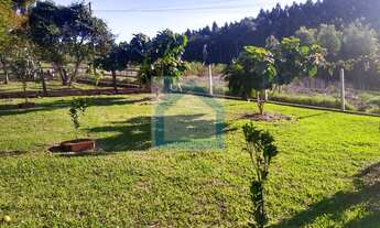 Imagem 2: Chácara à venda no bairro Areião - São Sebastião do Caí/RS