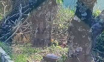 Imagem 7: Terreno à venda no bairro Cidade Nova - Ivoti/RS