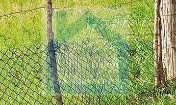 Imagem 5: Terreno à venda no bairro Cidade Nova - Ivoti/RS