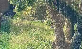 Imagem 6: Terreno à venda no bairro Cidade Nova - Ivoti/RS