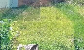 Imagem 2: Terreno à venda no bairro Cidade Nova - Ivoti/RS