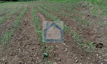Imagem 3: Chácara à venda no bairro Conceição - Portão/RS