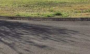 Imagem: Terreno em Residencial Coração de Jesus