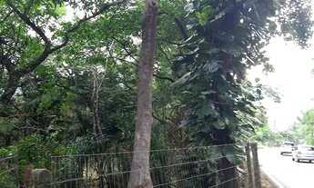 Imagem 4: Terreno com 4.680m², Vargem Grande - Florianópolis/SC